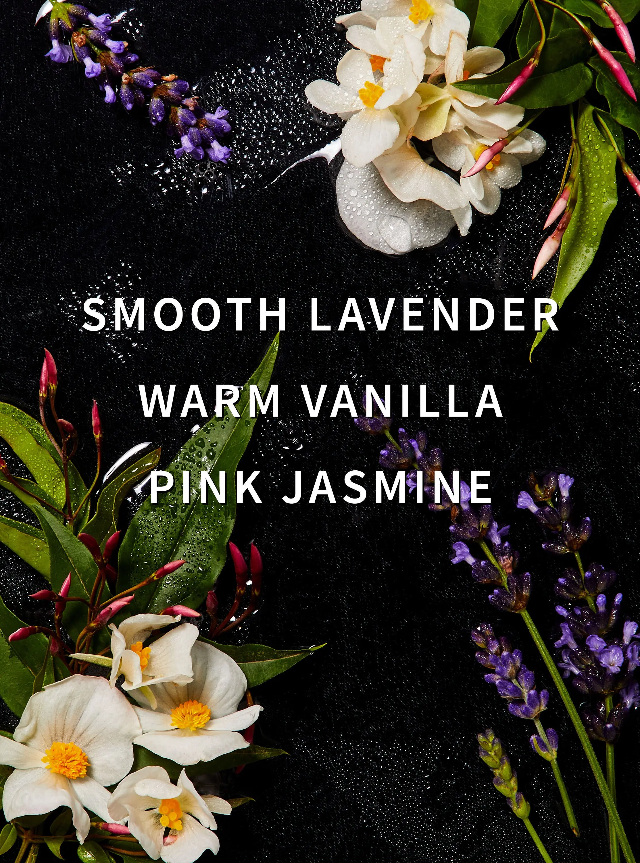 Cozy Cashmere Laundry Detergent - Image 2