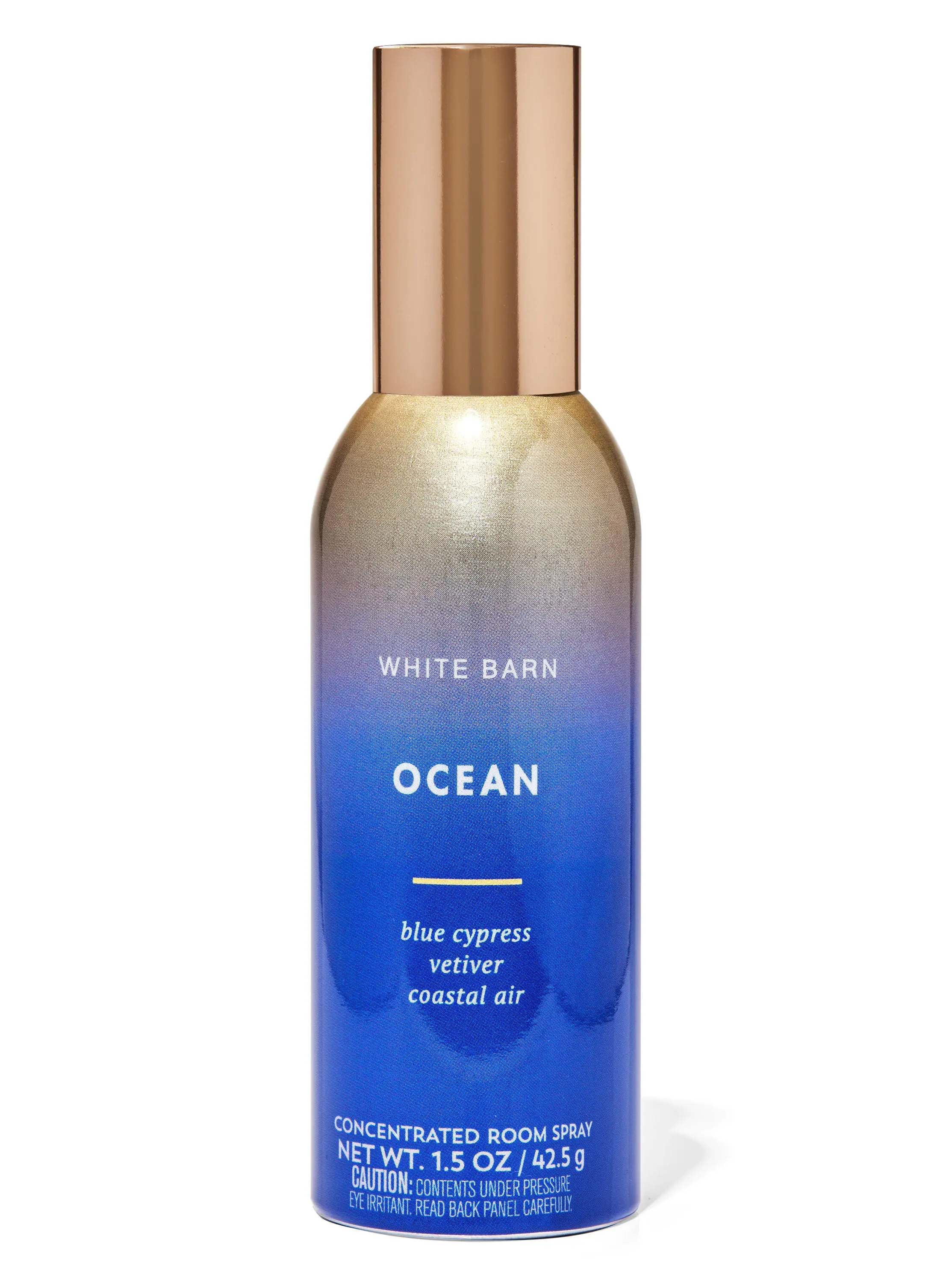 Ocean Concentrated Room Spray