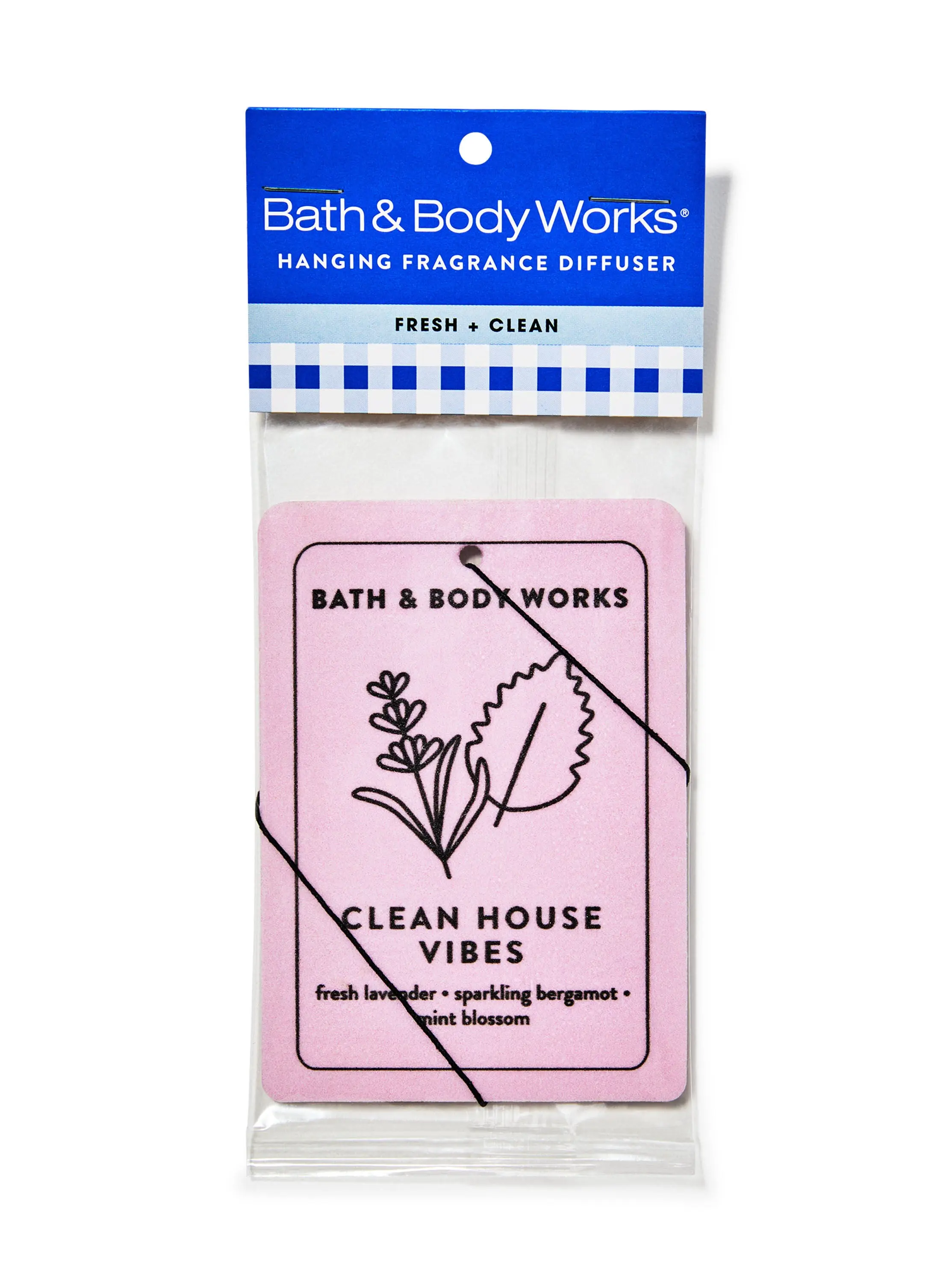 Clean House Vibes Hanging Fragrance Diffuser - Image 2