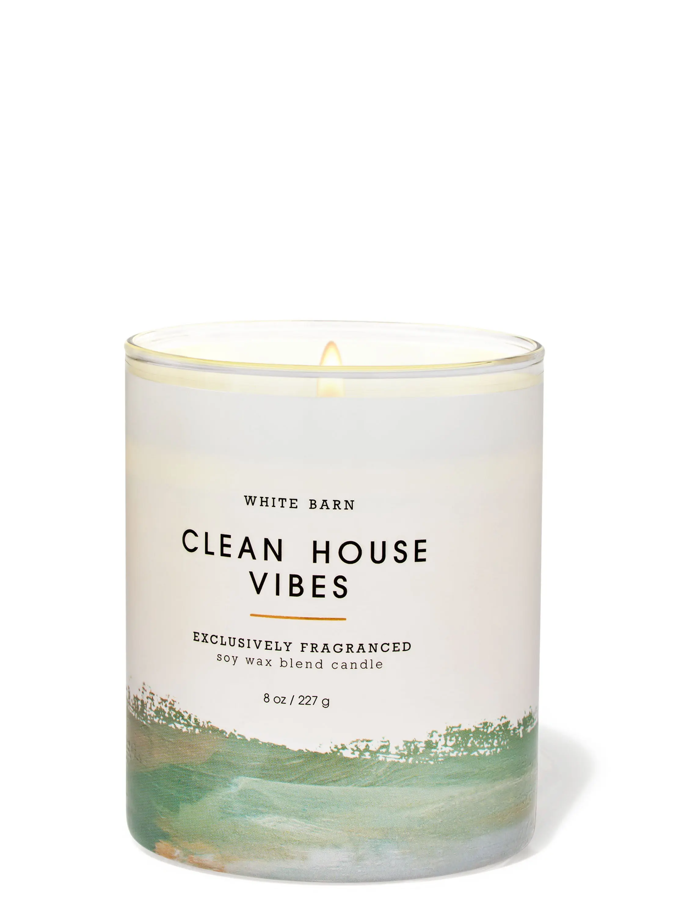 Clean House Vibes Single Wick Candle