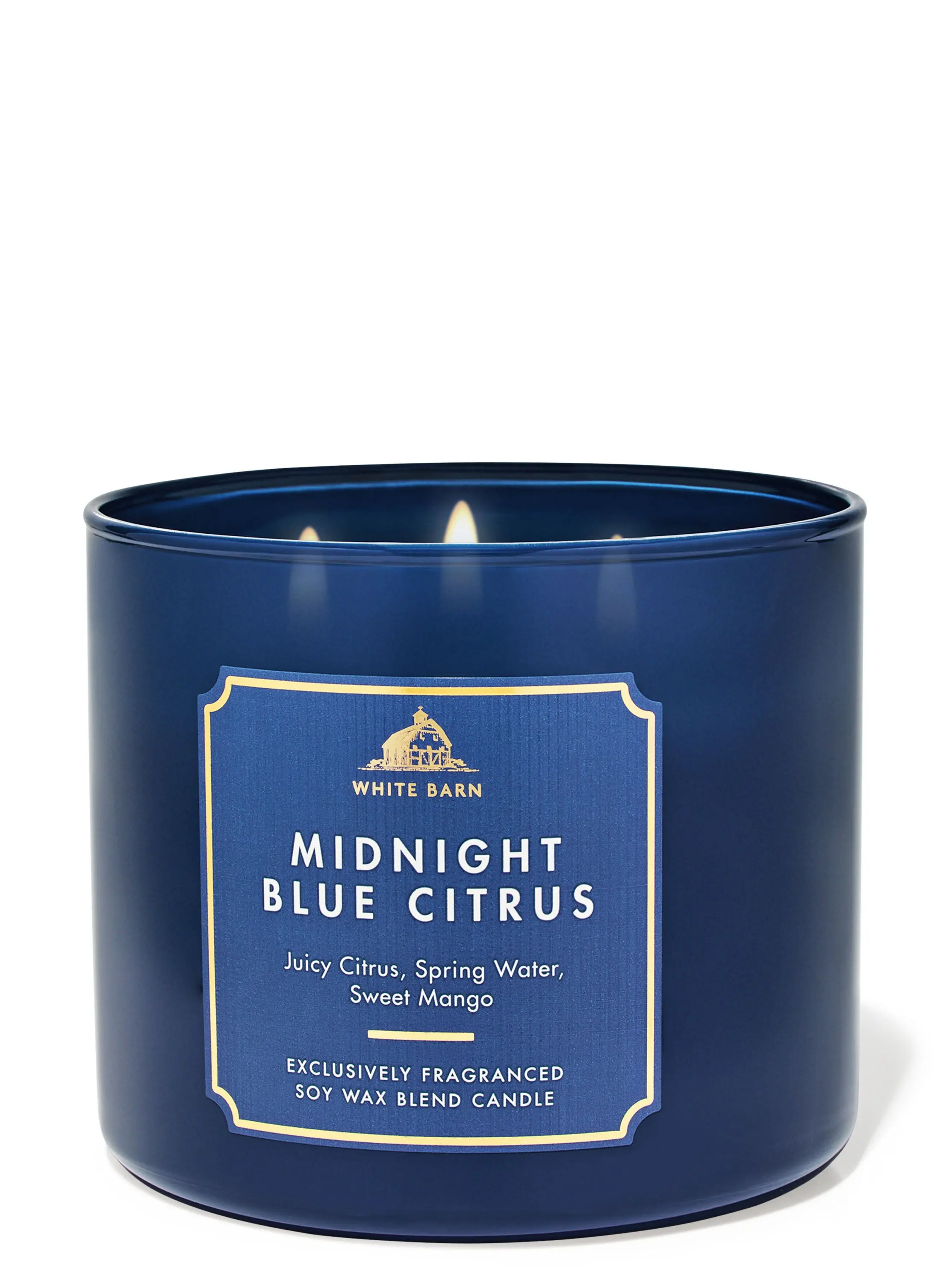 Midnight Blue Citrus 3-Wick Candle - Image 2